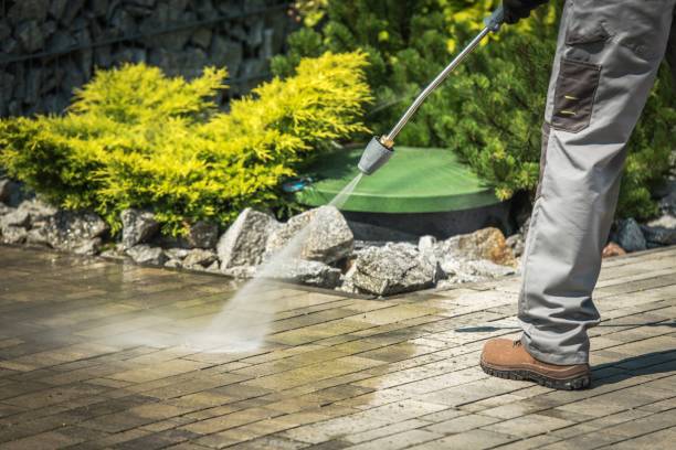 Best Concrete Sealing  in Rose Hill, NC